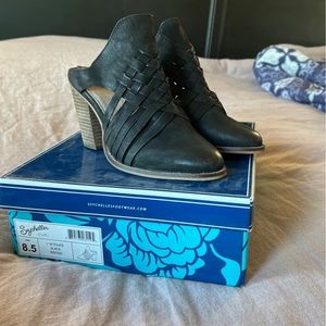 Seychelles I’m yours black